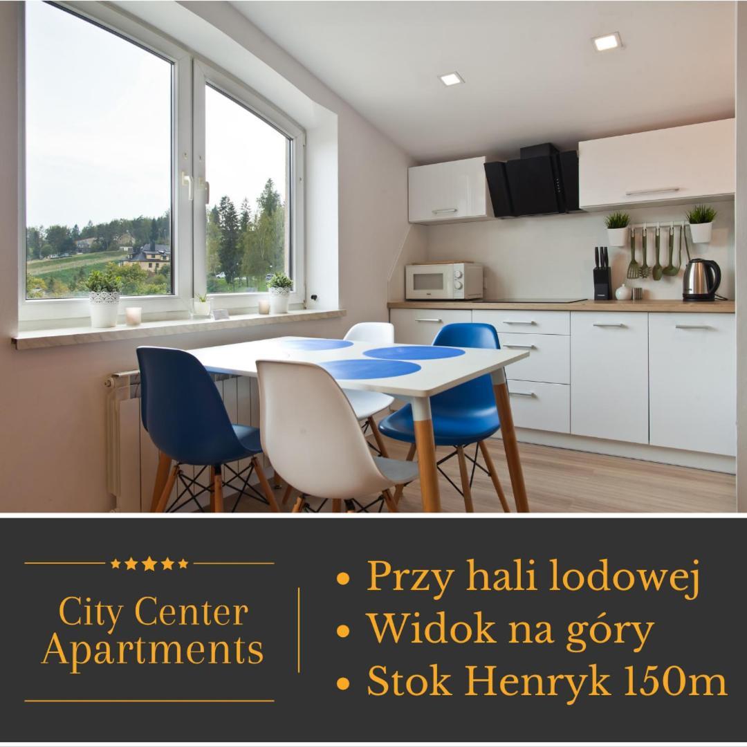 Center View Apartment Krynica-Zdrój